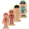 Puzzle drewniane warstwowe budowa ciała montessori chłopiec