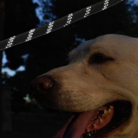 Smycz dla psa treningowa na lince wytrzymała odblaskowa 3m