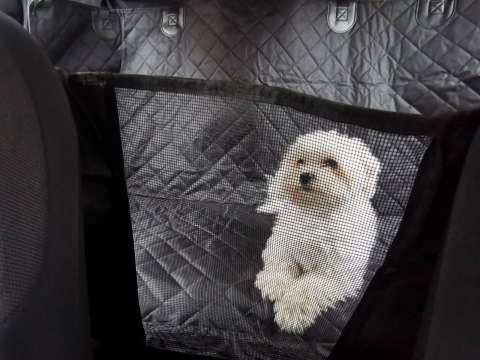 Mata dla psa do samochodu na siedzenie wodoodporna czarna