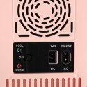 Lodówka turystyczna elektryczna samochodowa mini na jedzenie kosmetyki grzanie chłodzenie 2w1 4L różowa