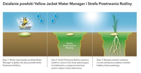Trawa Na Ekstremalne Warunki Barenbrug Tough & Easy Resilent Blue 15kg