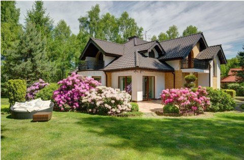 Trawa Uniwersalna Greenato Berliner Tiergarten 1kg