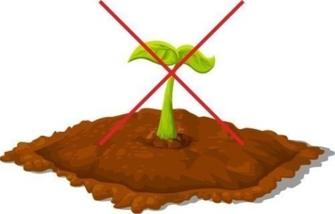 Agrotkanina P-100 czarna UV 0,8x100m